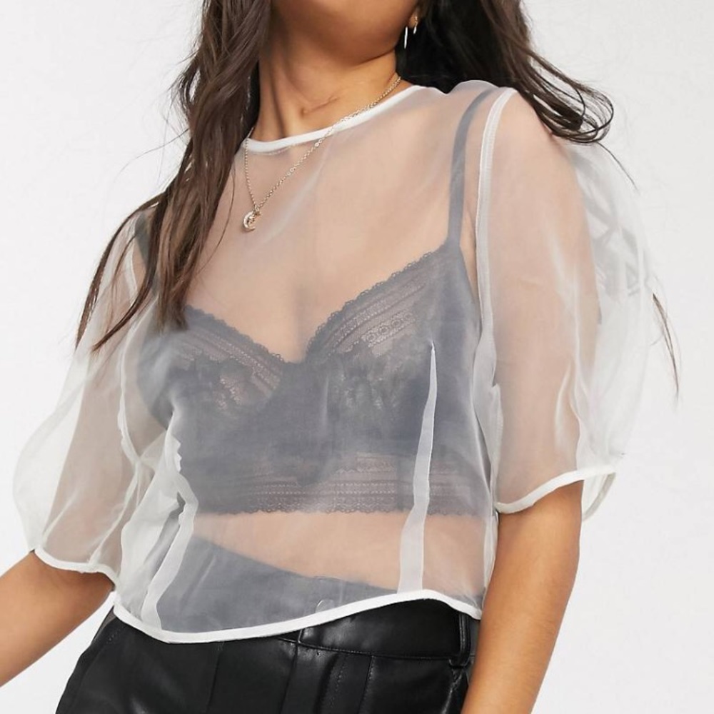 Topshop Sheer Organza Top